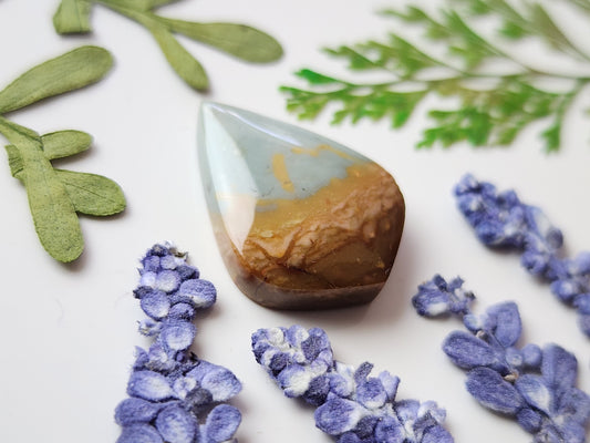 Polychorme jasper