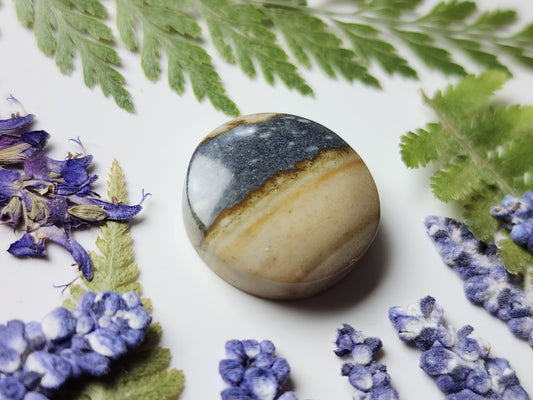 Starry night picture jasper