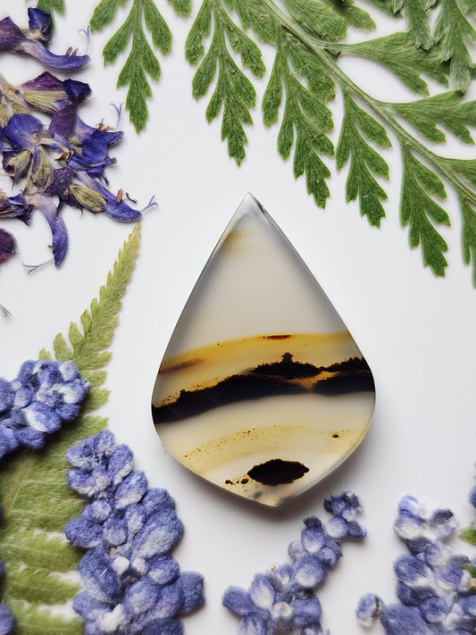 Montana agate
