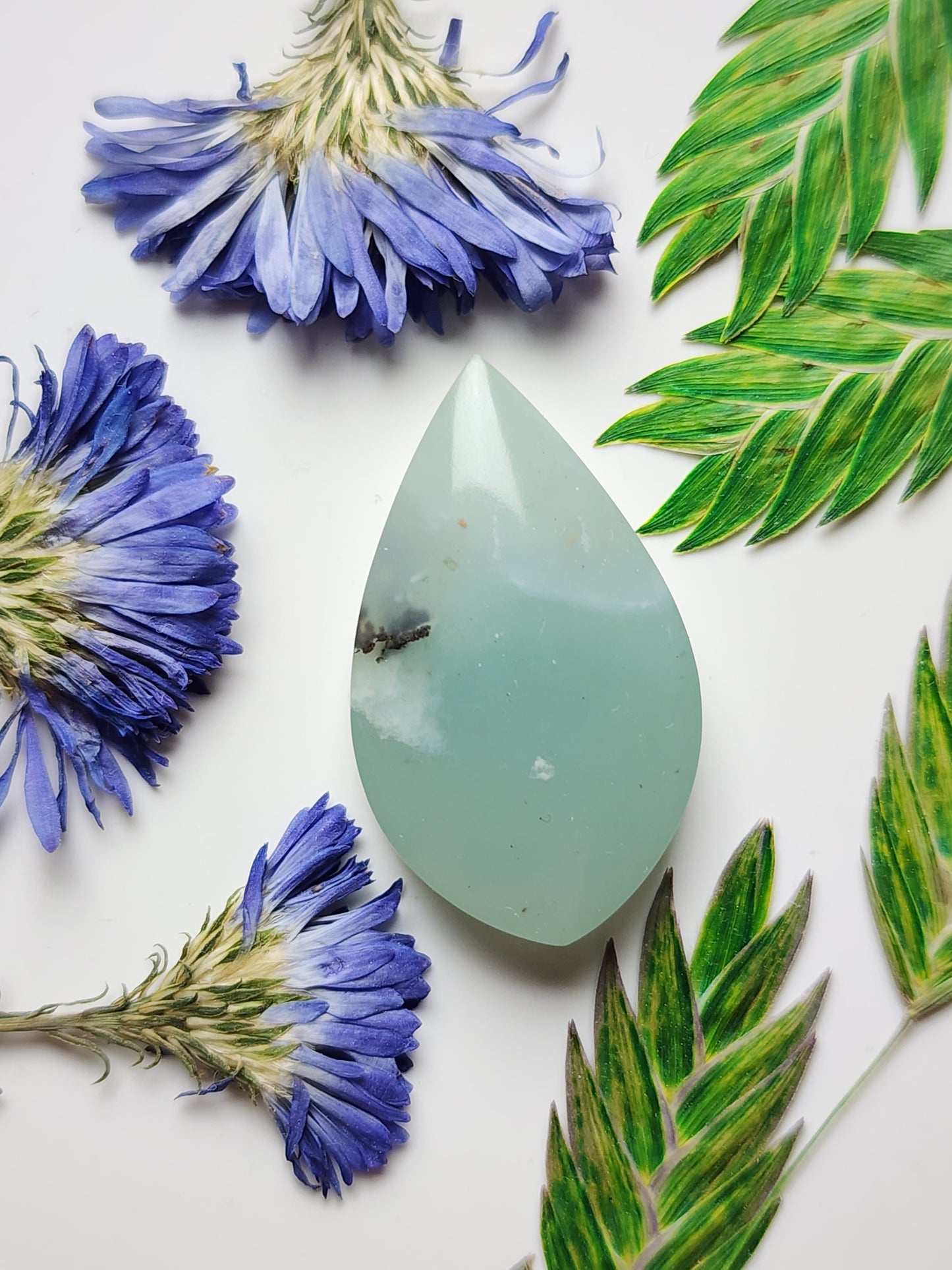 BC Ocean picture stone