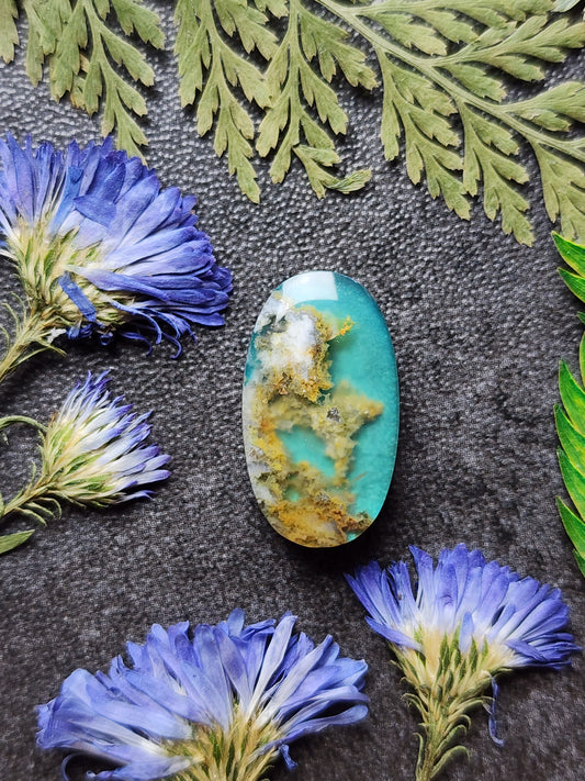 North ridge plume agate Doublet