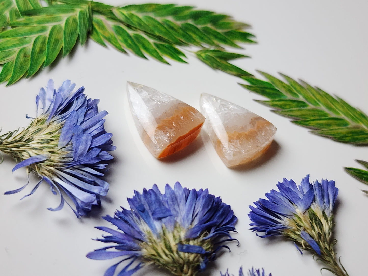 Agua Nueva agate pair