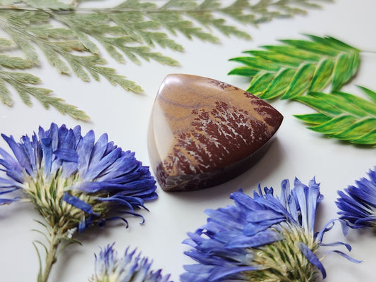 Sonoran Dendritic Rhyolite
