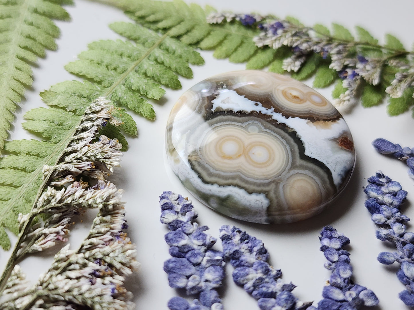 Ocean jasper