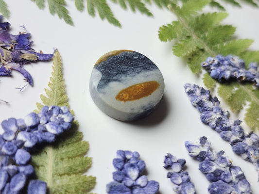 Starry night picture jasper