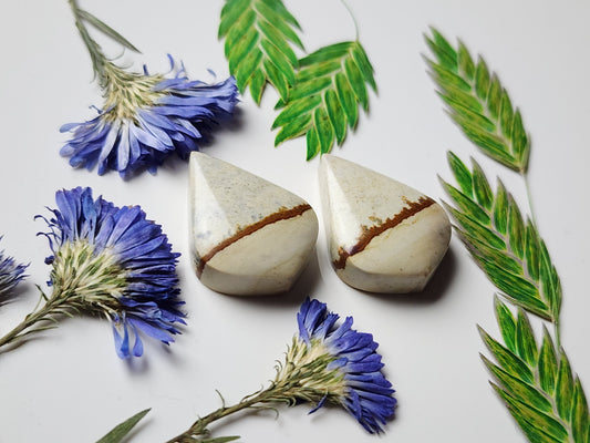 Chicken track picture jasper pair