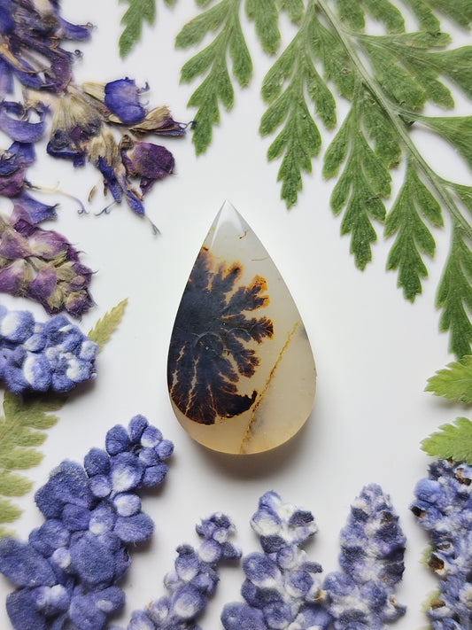 Montana agate