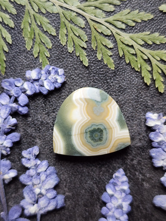 Ocean jasper