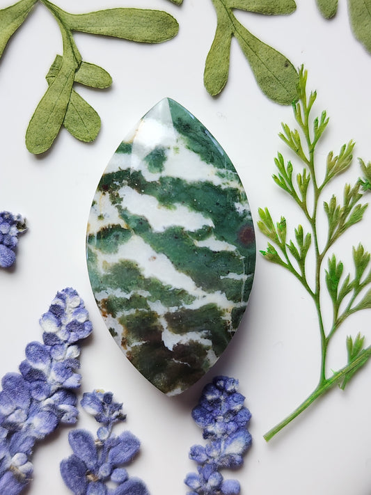 Green Zebra jasper