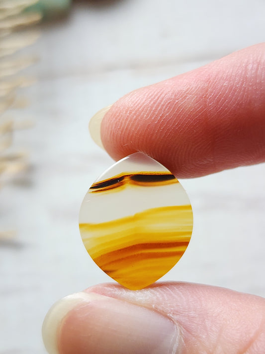 Montana agate