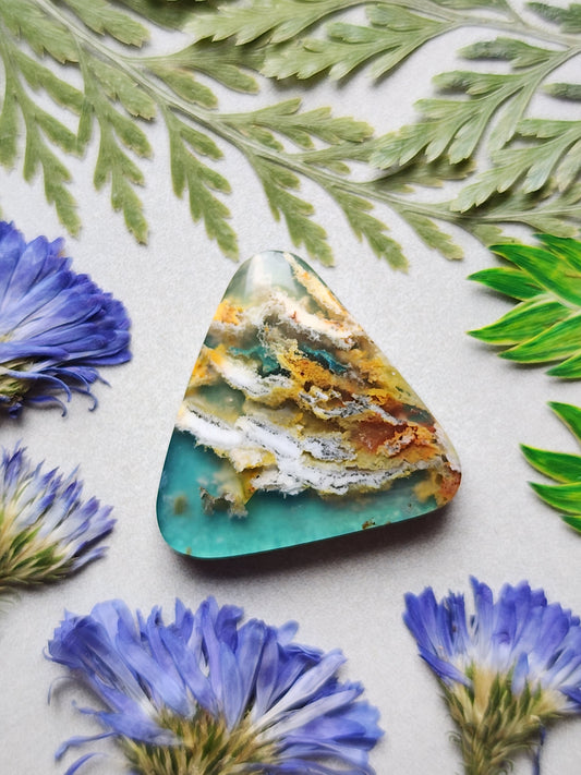 Bella Vista plume agate Doublet