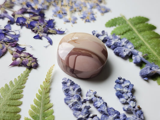 Willow Creek jasper