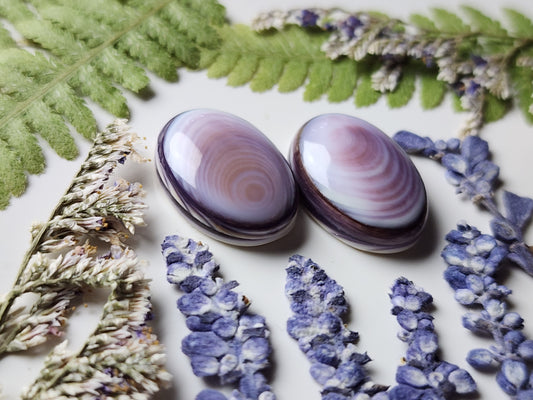Wampum shell pair