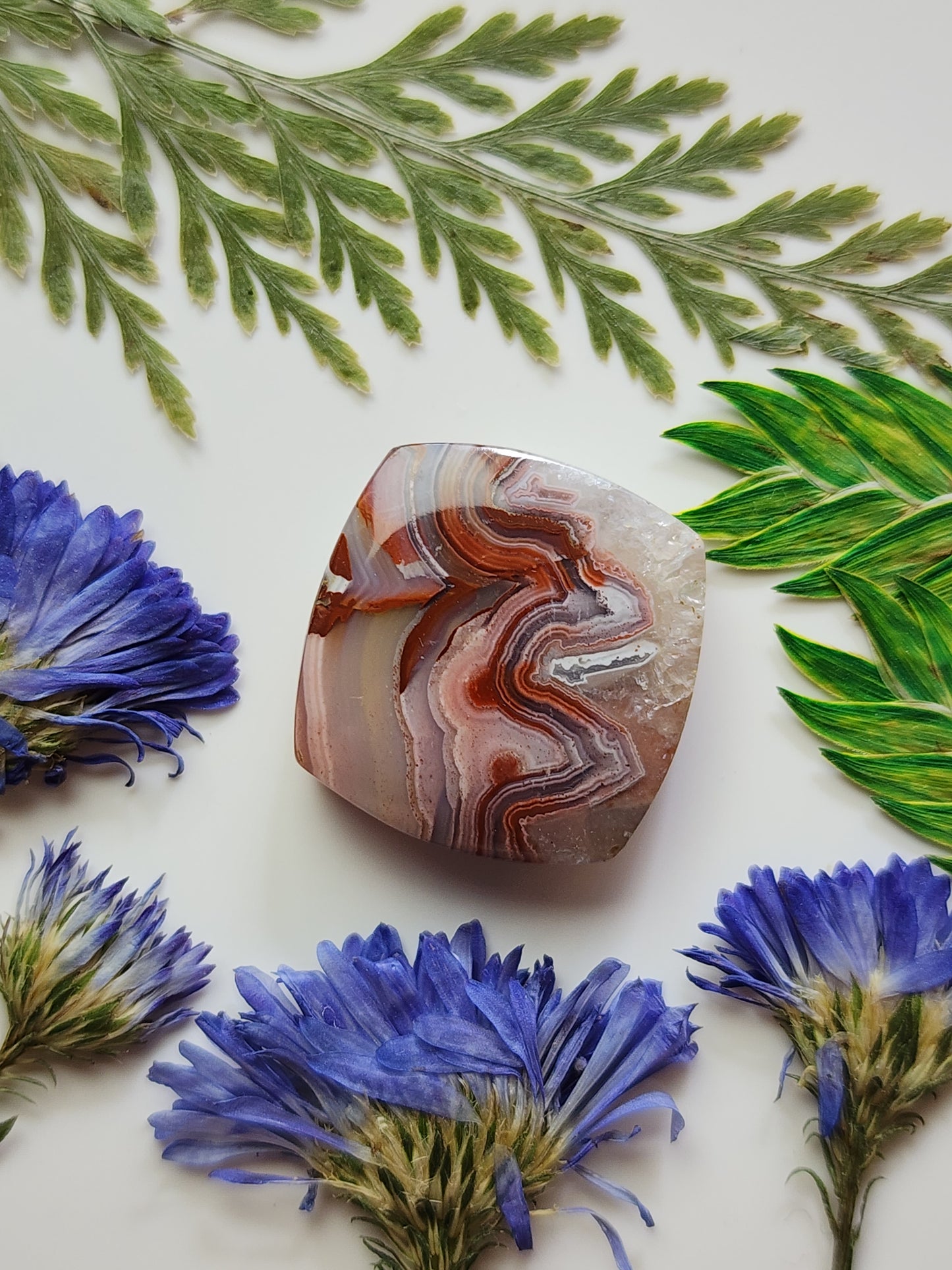 Laguna lace agate