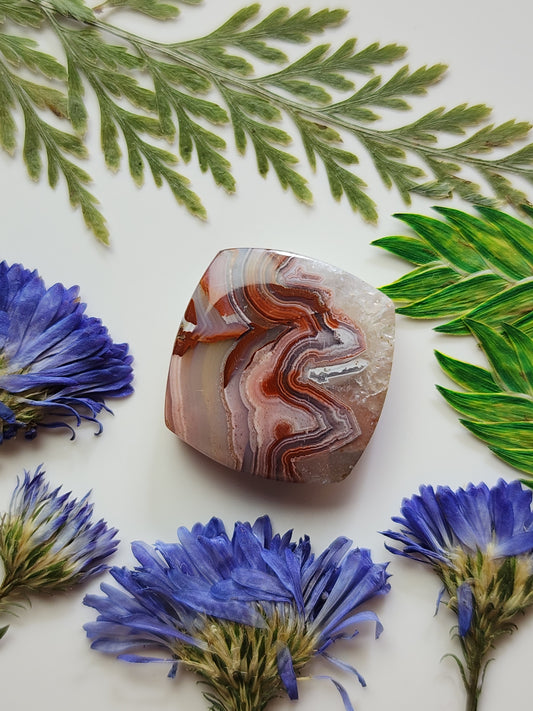 Laguna lace agate