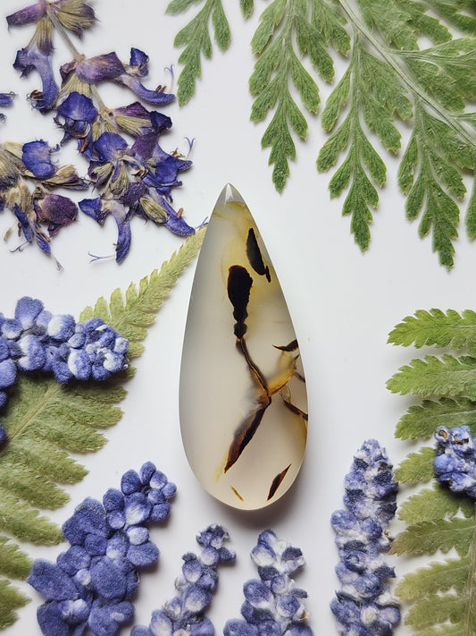 Montana agate