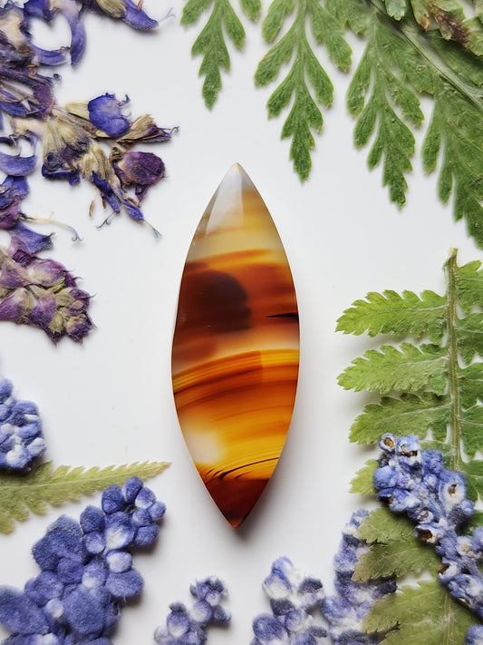 Montana agate