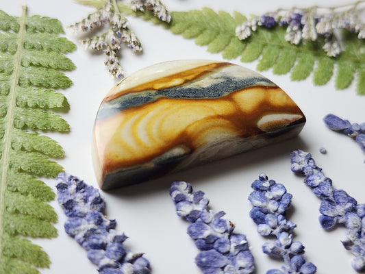 Starry night picture jasper