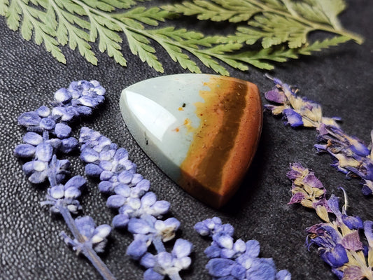 Polychrome jasper