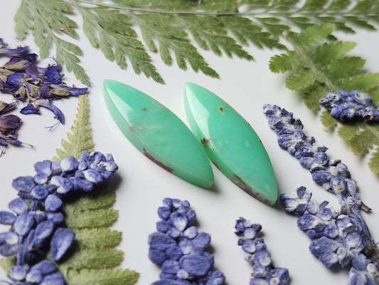 Newman Chrysoprase pair