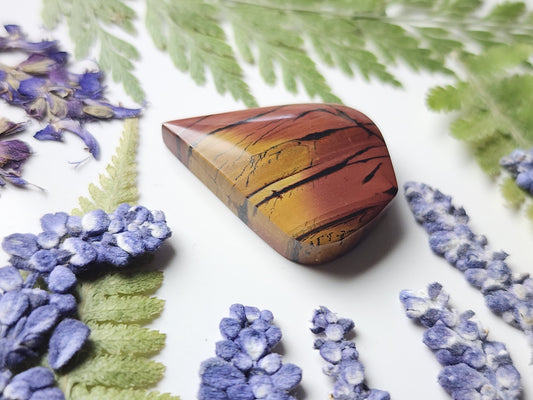 Indian paint stone