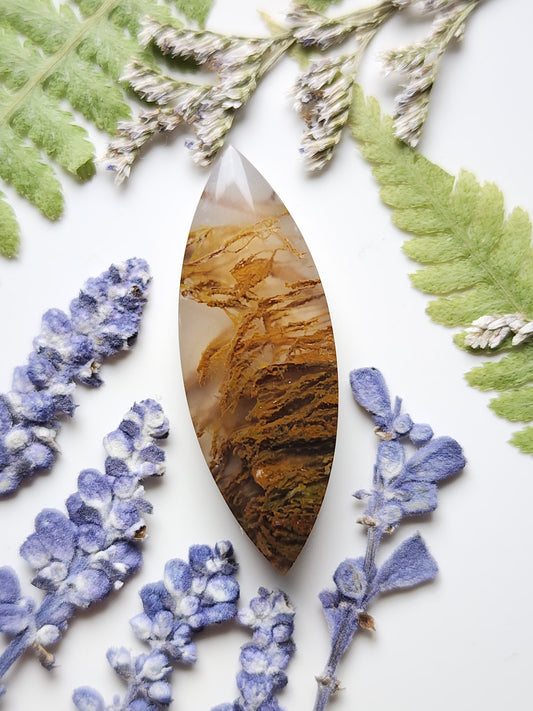 Priday Thunderegg moss agate