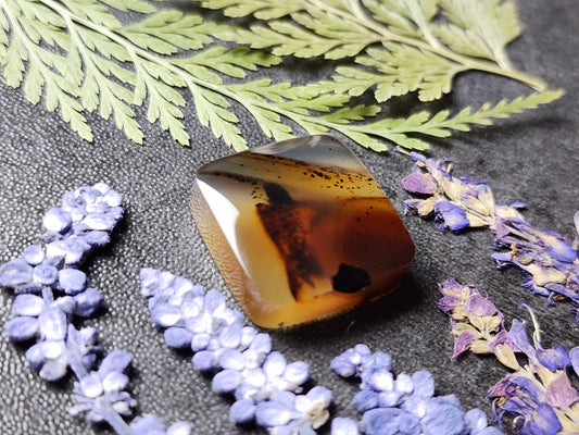 Montana agate
