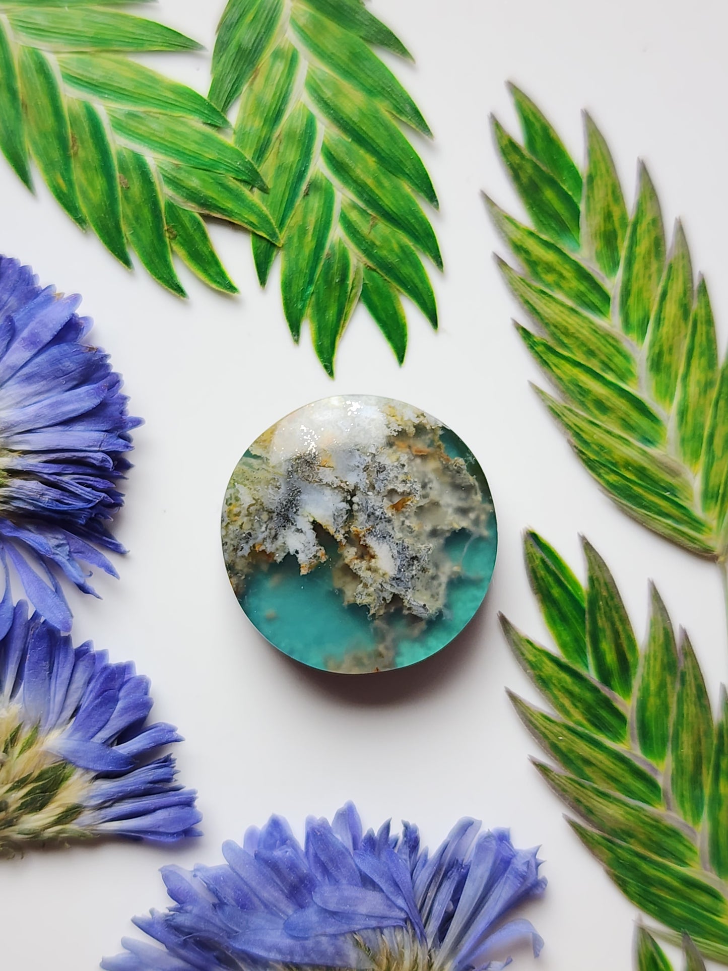 Bella Vista plume agate Doublet