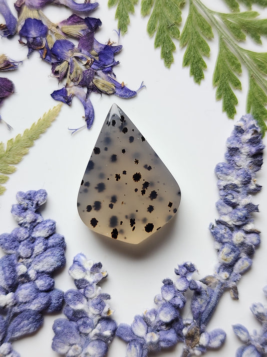Montana agate