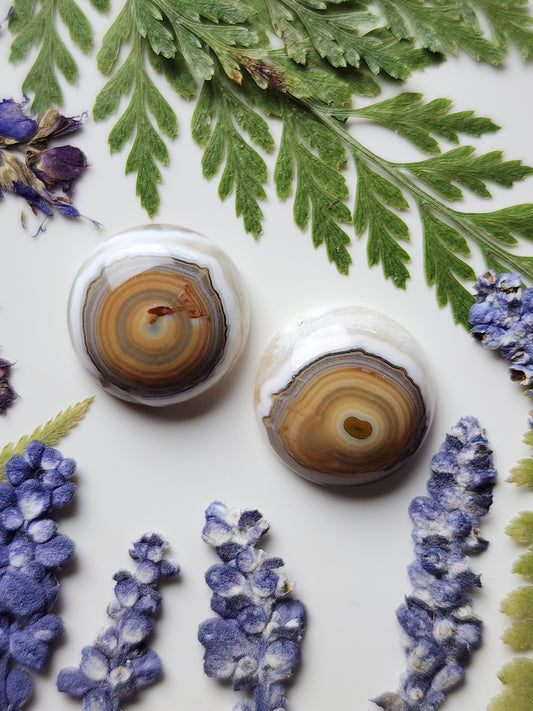 Ocean jasper pair
