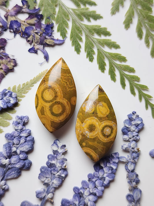 Kabamby jasper pair