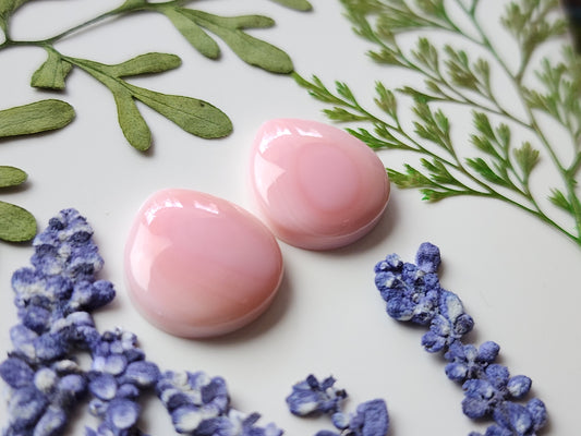 Pink Conch shell pair