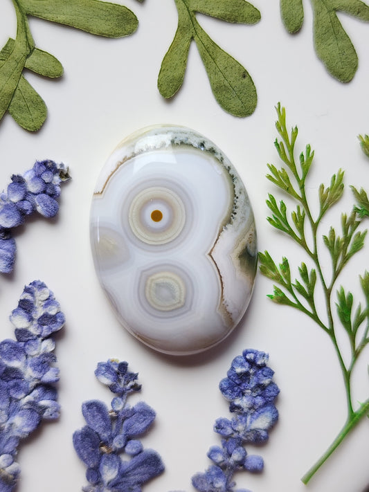 Ocean jasper