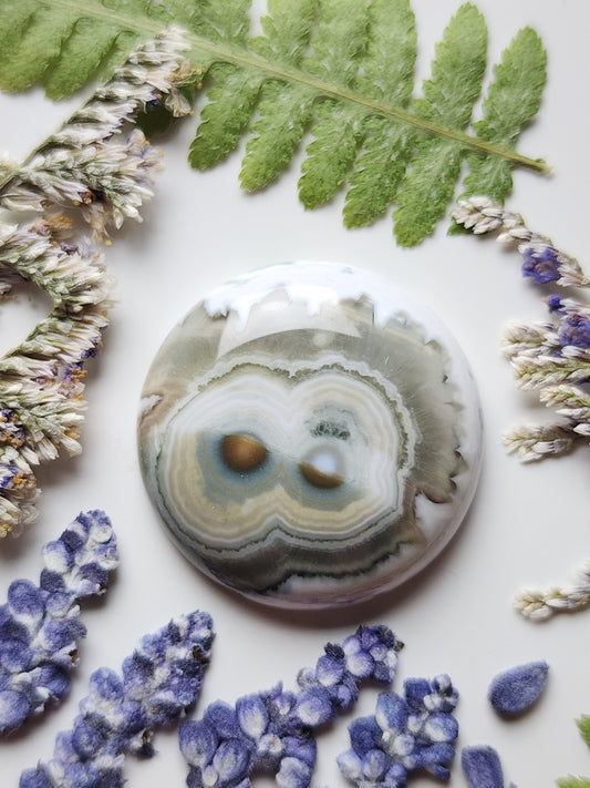 Ocean jasper