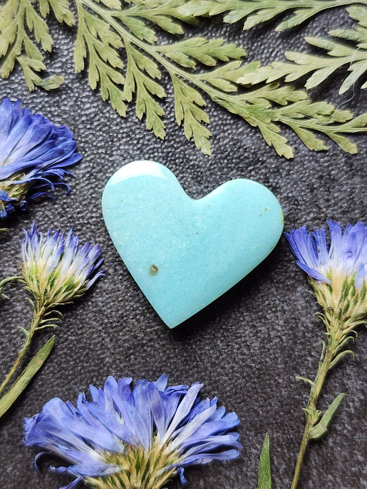 Petrified Blue opalized wood heart