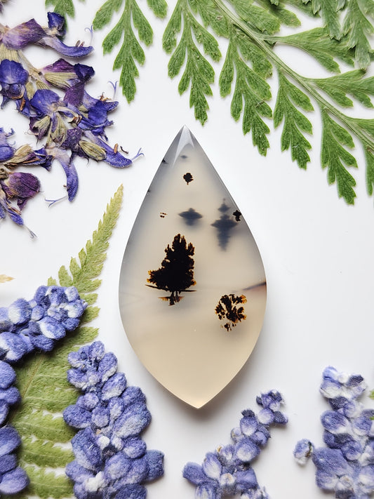 Montana agate