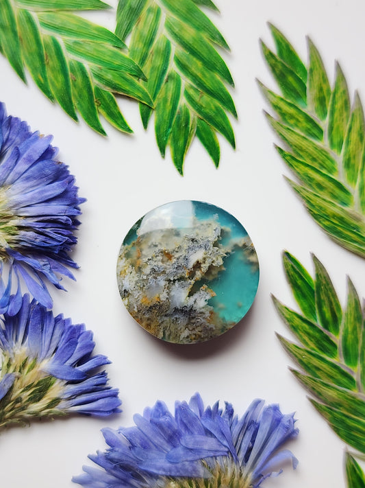 Bella Vista plume agate Doublet