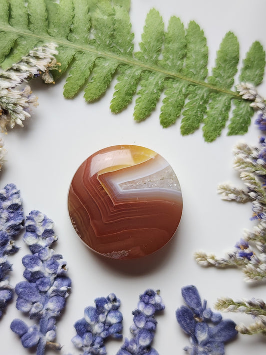 Agua Nueva agate