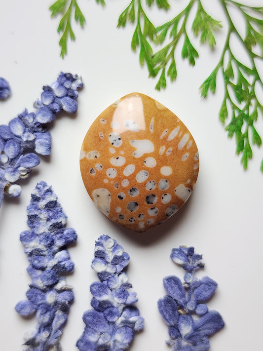 Spotted Fawn jasper