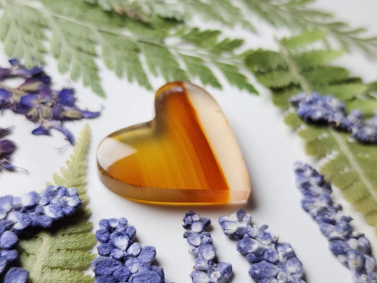 Montana agate heart