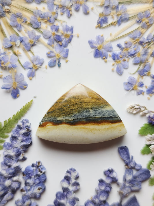 Starry night picture jasper