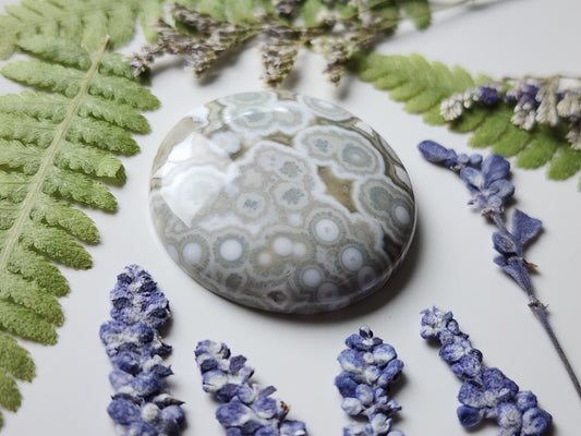 Ocean jasper
