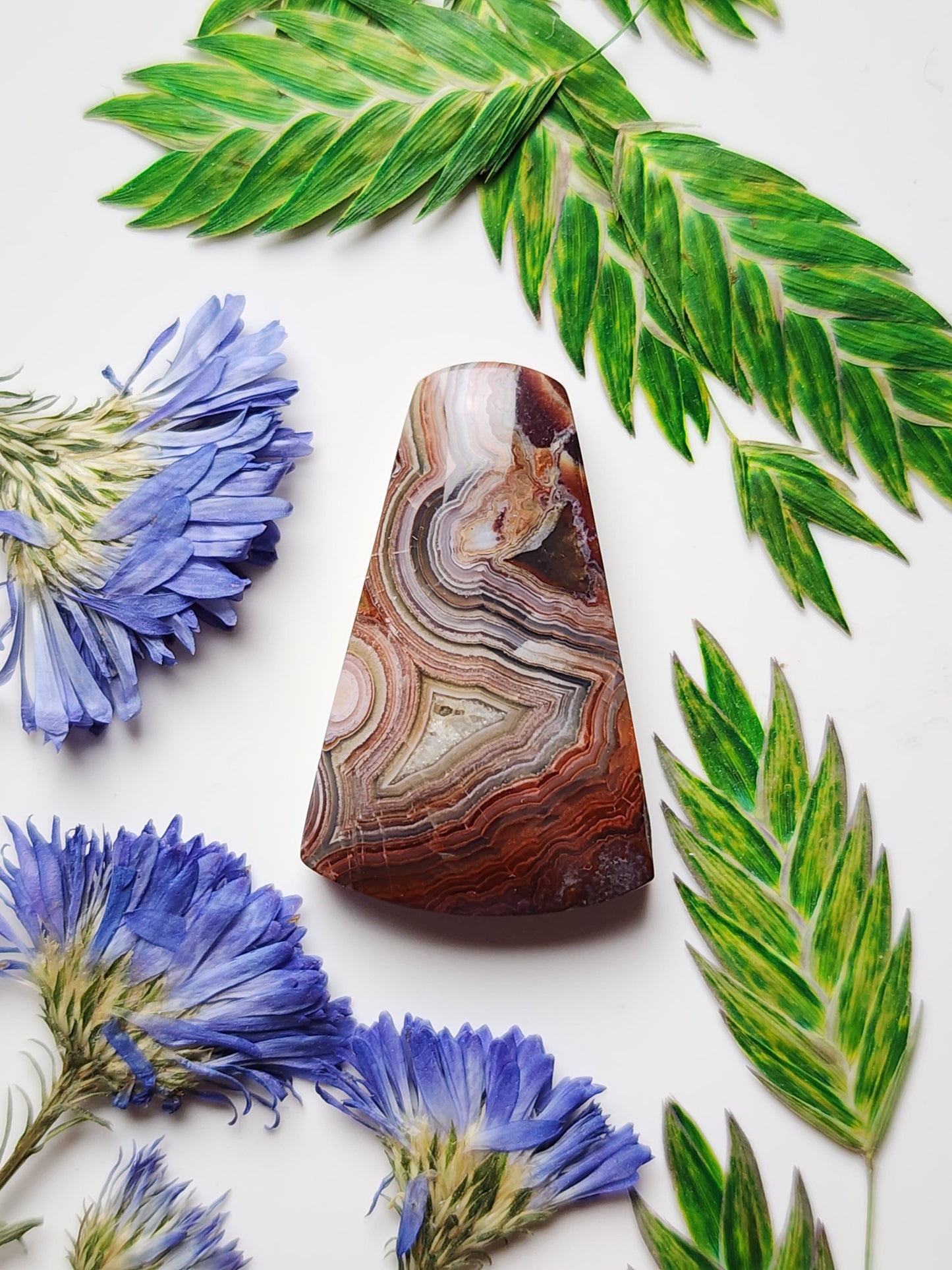 Laguna lace agate