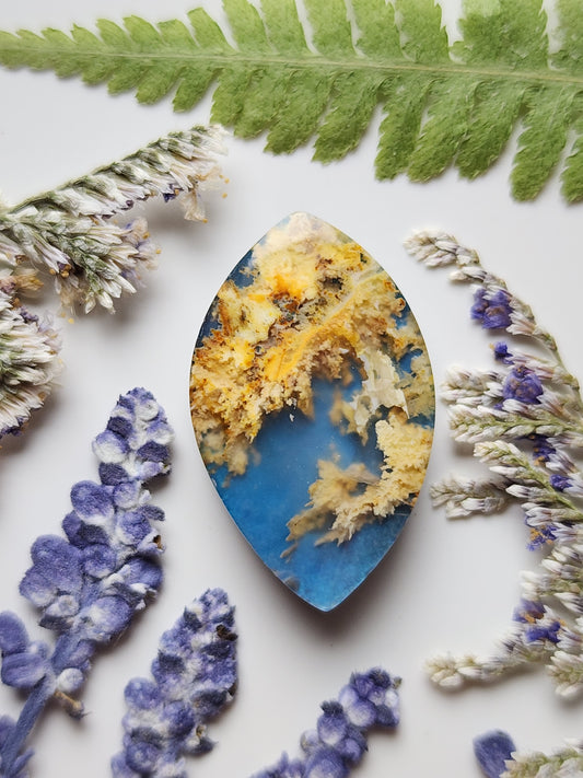 North Ridge plume agate Doublet