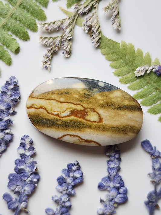 Starry night picture jasper