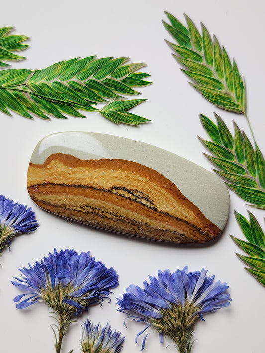 Owyhee picture jasper