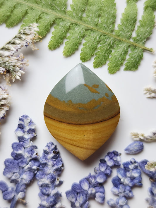Owyhee picture jasper