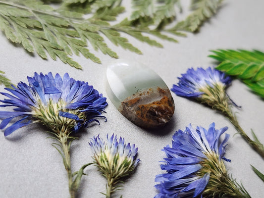 BC Ocean Picture stone