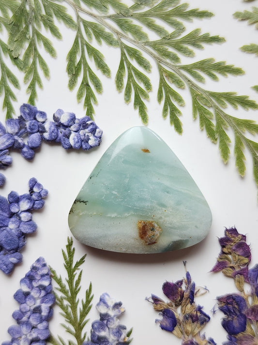 BC Ocean picture stone
