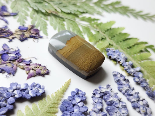 Spring mountain picture jasper